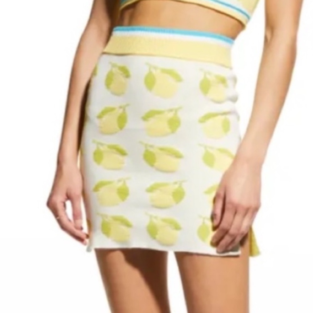 SOLID & STRIPED The Rosie Skirt